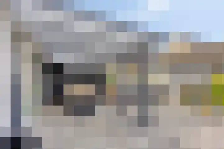 Kariboelaan 25 Helmond thumbnail 6
