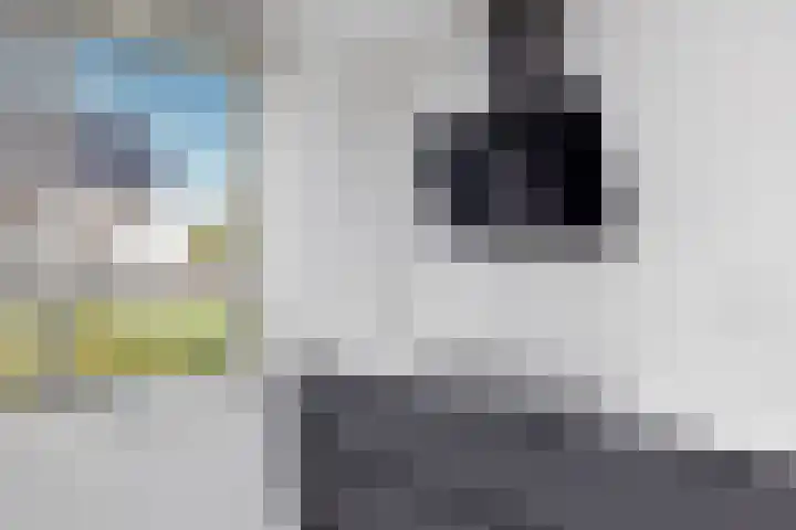 Karimunstraat 24 Rotterdam thumbnail 19