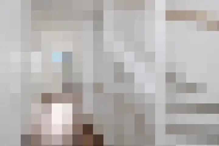 Karimunstraat 24 Rotterdam thumbnail 22