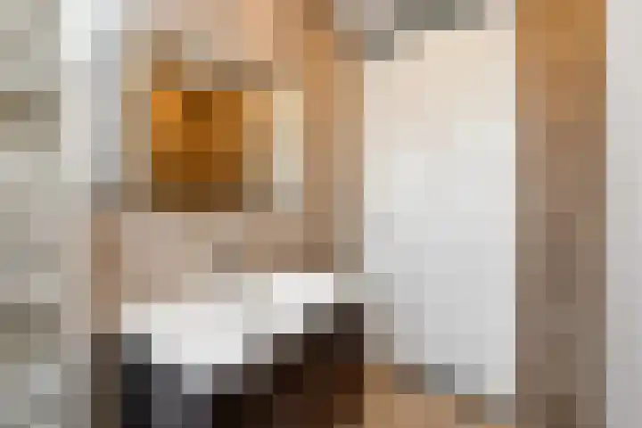 Karimunstraat 24 Rotterdam thumbnail 25