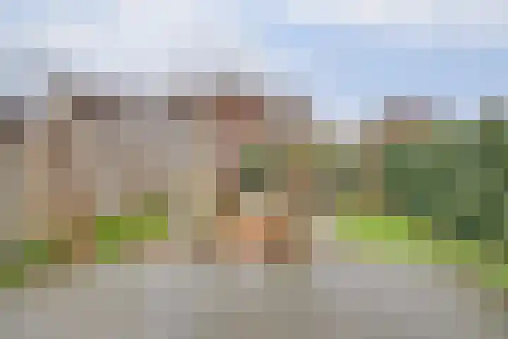 Karinastraat 20 Kerkdriel thumbnail 27