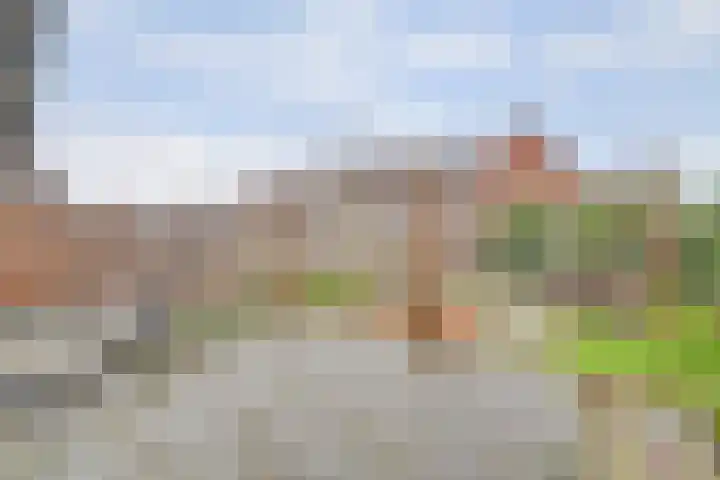 Karinastraat 20 Kerkdriel thumbnail 28