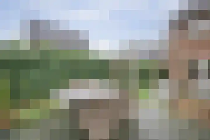 Karinastraat 20 Kerkdriel thumbnail 30