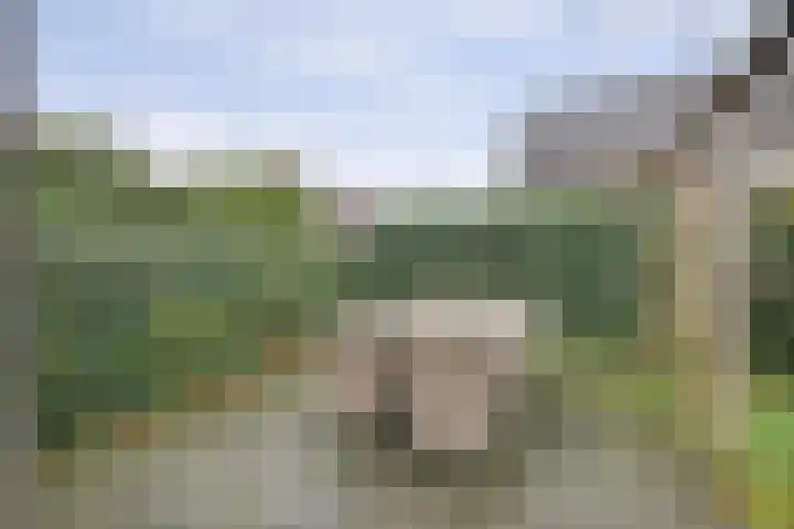 Karinastraat 20 Kerkdriel thumbnail 31