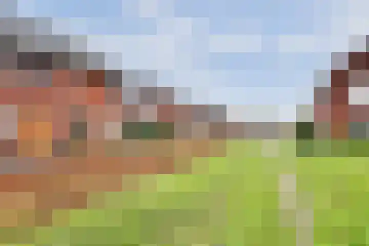 Karinastraat 20 Kerkdriel thumbnail 33