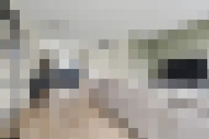 Karinastraat 20 Kerkdriel thumbnail 6