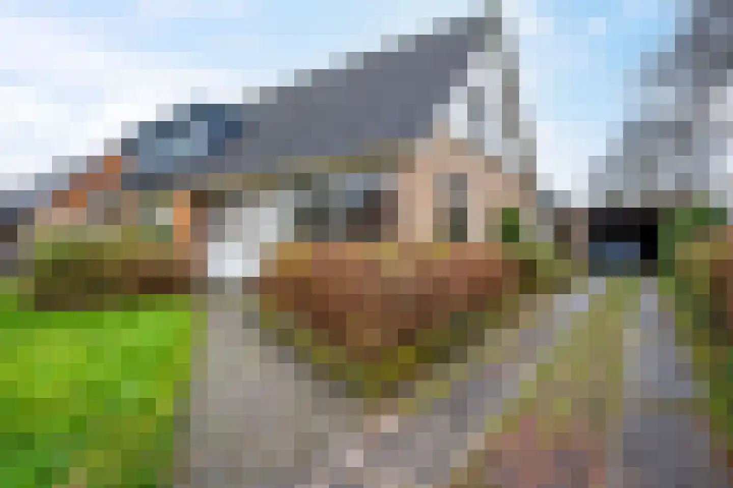 Karlingakkers 23 Peize thumbnail 7