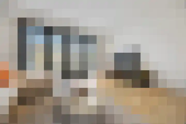 Karmijn 44 Winssen thumbnail 10