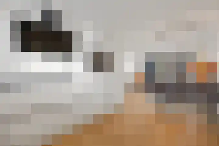 Karmijn 44 Winssen thumbnail 14