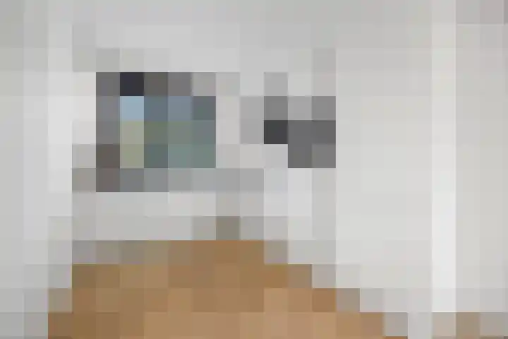 Karmijn 44 Winssen thumbnail 16