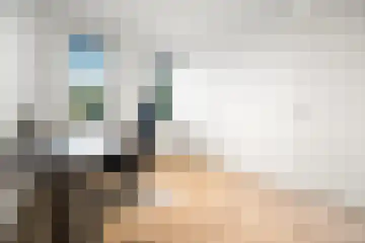 Karmijn 44 Winssen thumbnail 23