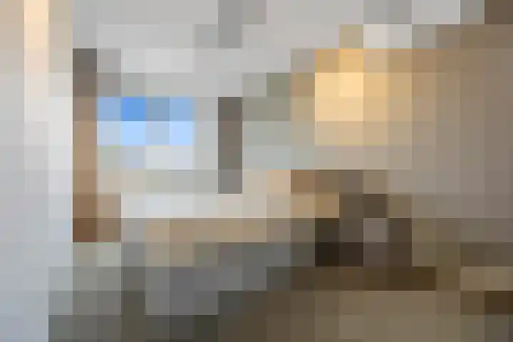 Karmijn 44 Winssen thumbnail 25