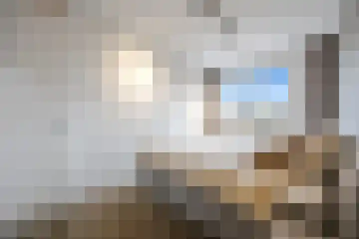 Karmijn 44 Winssen thumbnail 26