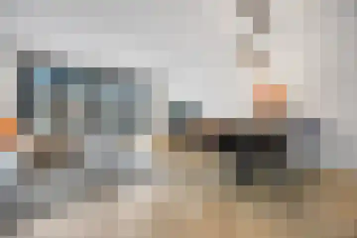 Karmijn 44 Winssen thumbnail 4