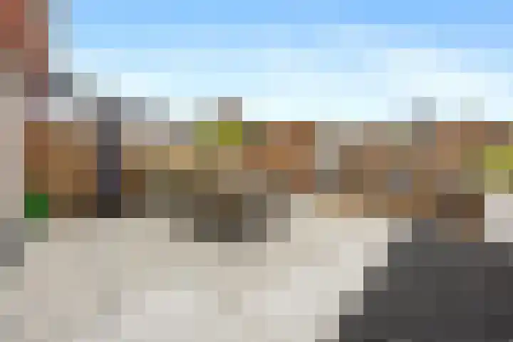 Karmijn 44 Winssen thumbnail 41