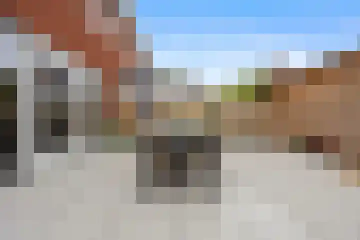 Karmijn 44 Winssen thumbnail 42