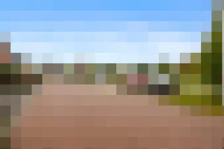 Karmijn 44 Winssen thumbnail 53