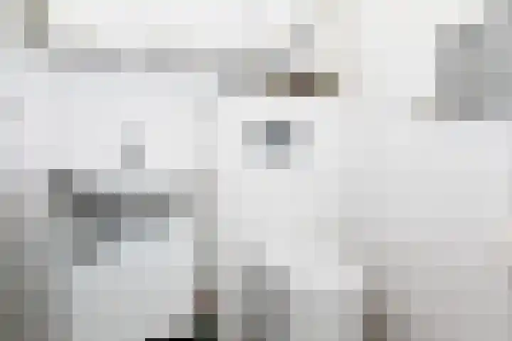 Karolingenstraat 22 Simpelveld thumbnail 10