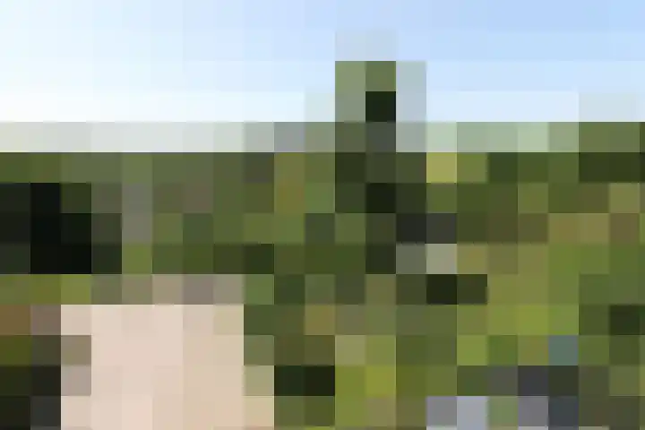 Karolingenstraat 22 Simpelveld thumbnail 17