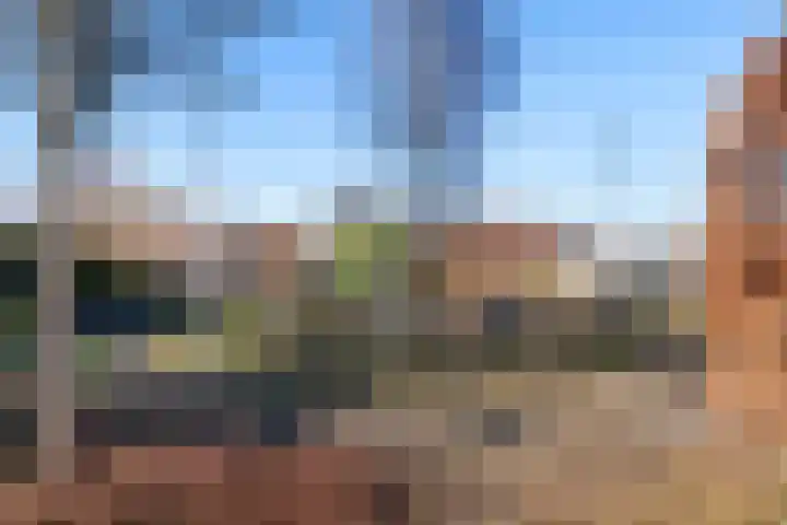 Karos 10 Sassenheim thumbnail 28