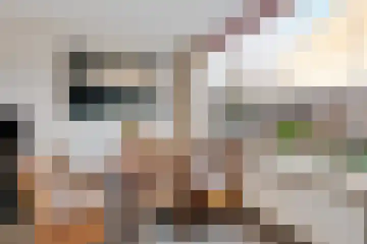 Karos 10 Sassenheim thumbnail 4