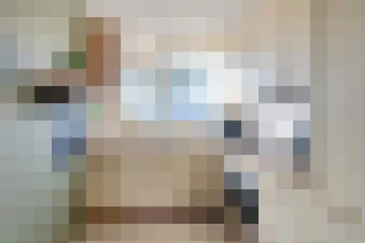 Karos 10 Sassenheim thumbnail 6