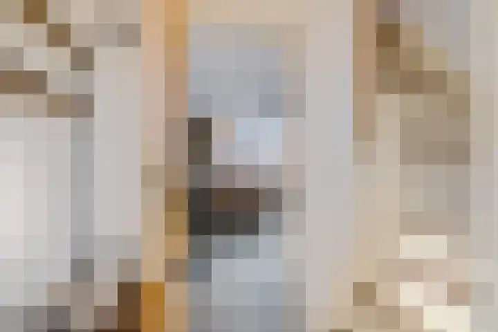 Karos 10 Sassenheim thumbnail 8
