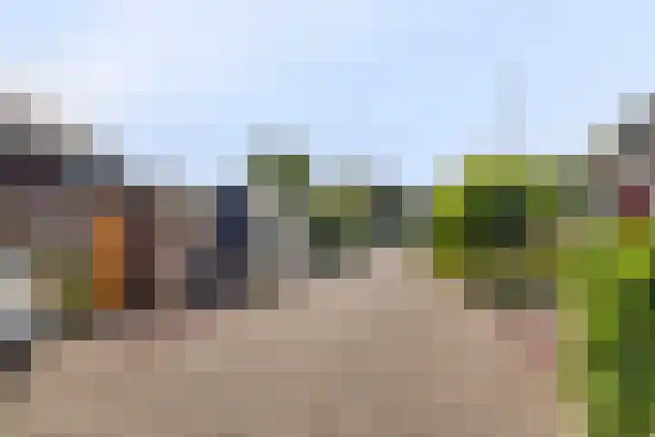 Karos 17 Hoorn thumbnail 37