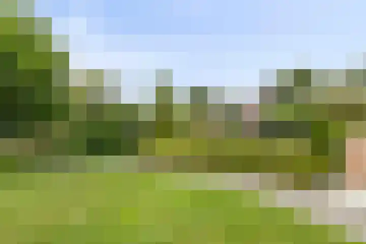 Karos 17 Hoorn thumbnail 38