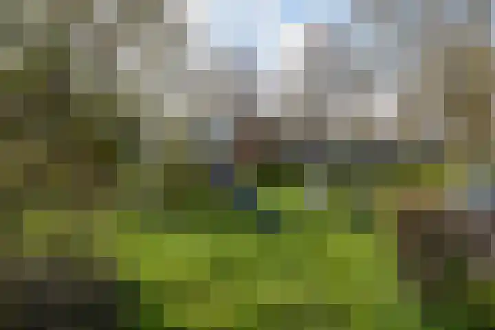Karos 65 Hoorn thumbnail 27
