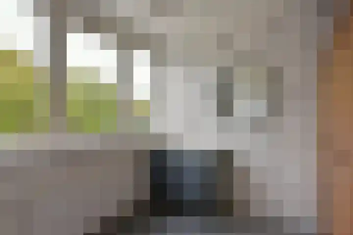 Karos 78 Hoorn thumbnail 15