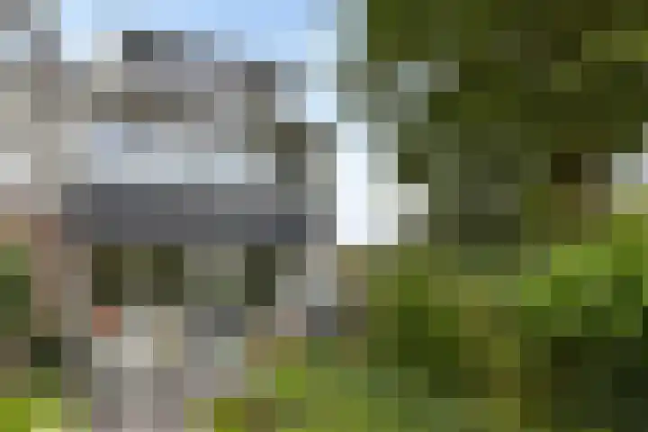 Karos 78 Hoorn thumbnail 25