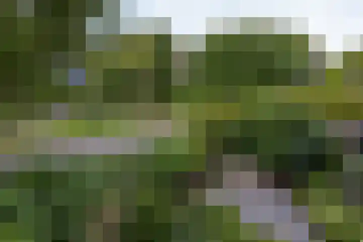 Karos 78 Hoorn thumbnail 27