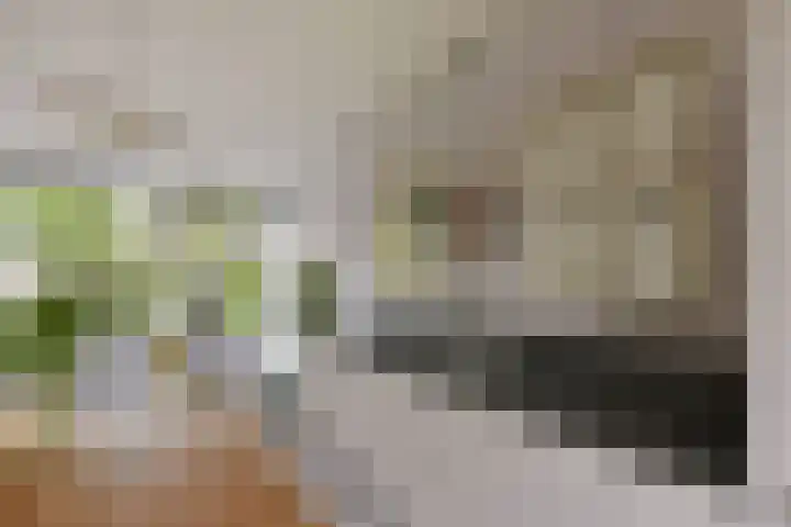 Karos 78 Hoorn thumbnail 4