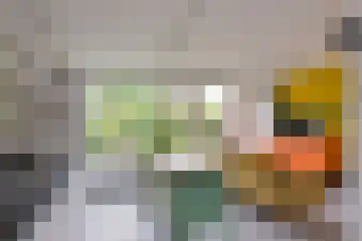 Karos 78 Hoorn thumbnail 6