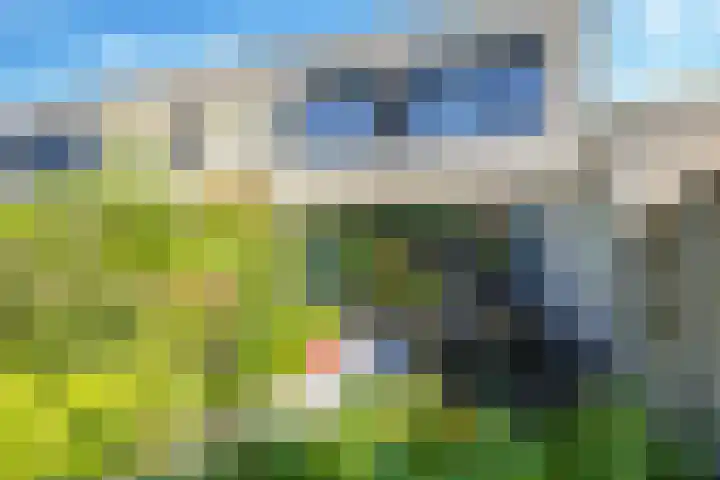 Karper 1 Doetinchem thumbnail 14