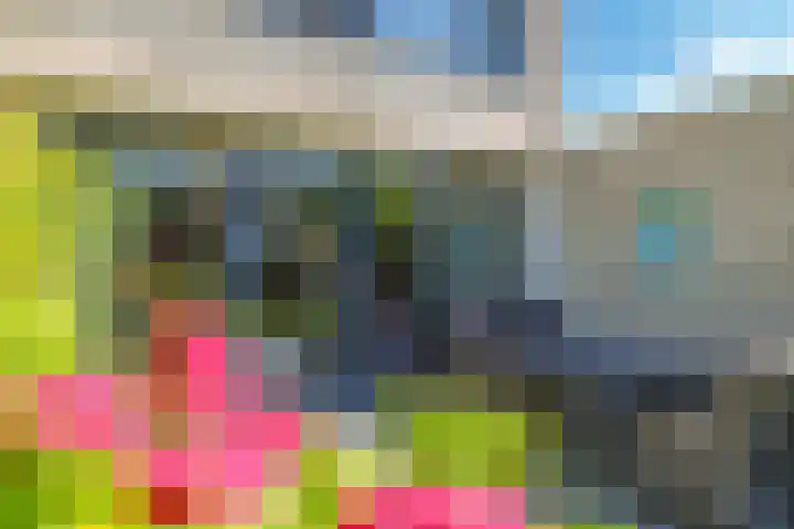 Karper 1 Doetinchem thumbnail 17