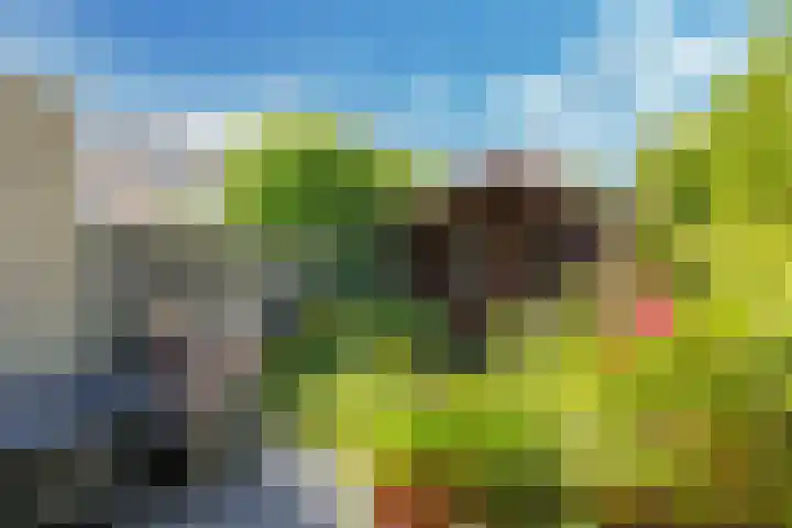 Karper 1 Doetinchem thumbnail 18