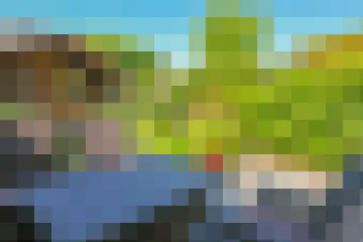 Karper 1 Doetinchem thumbnail 20