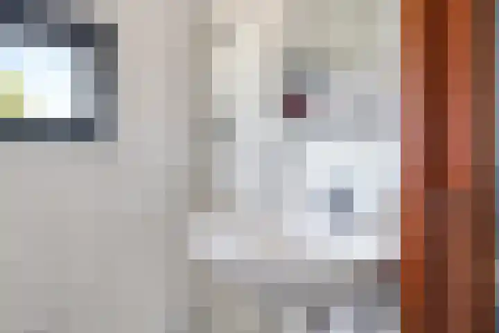 Karper 1 Doetinchem thumbnail 34