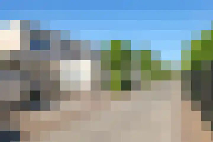 Karper 1 Doetinchem thumbnail 38