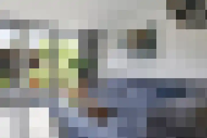 Karper 1 Doetinchem thumbnail 8