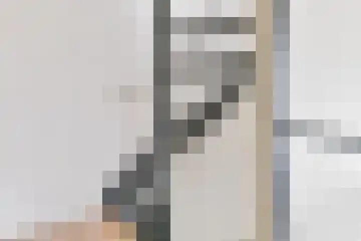 Karper 115 Amersfoort thumbnail 15