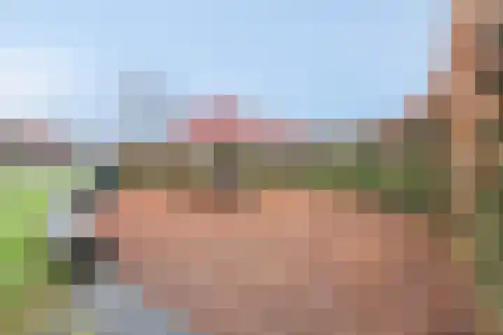 Karper 115 Amersfoort thumbnail 7