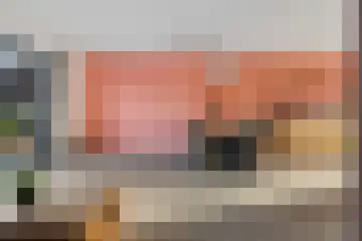 Karper 23 Schagen thumbnail 12