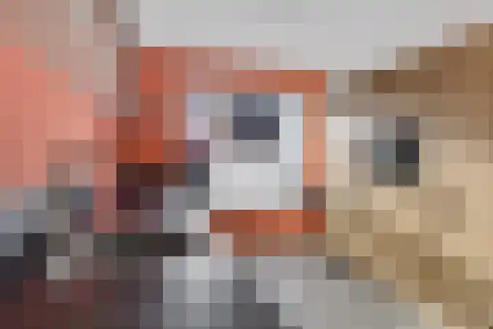 Karper 23 Schagen thumbnail 17
