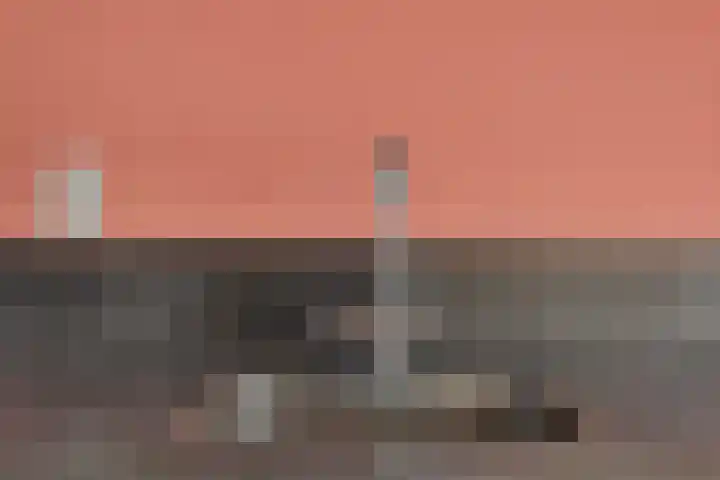 Karper 23 Schagen thumbnail 19