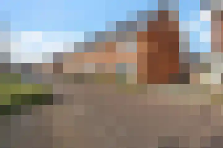 Karper 23 Schagen foto 2