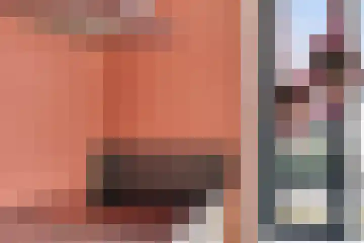 Karper 23 Schagen thumbnail 20