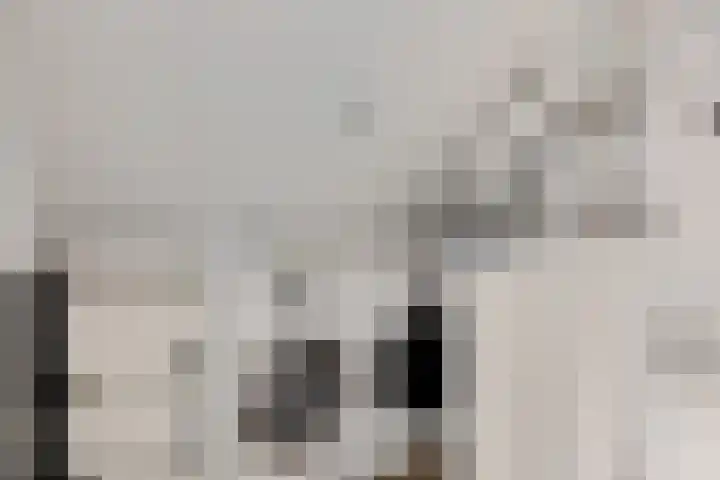 Karper 23 Schagen thumbnail 32